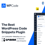 WPCode Pro WordPress Code Snippets Plugin