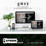 Enzy Multipurpose WooCommerce WordPress Theme