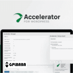 Seraphinite Accelerator for WordPress
